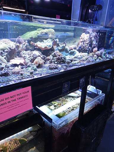 Tropical Fish Store «Aquatic Design», reviews and photos, 1629 N Central Expy, Plano, TX 75075, USA