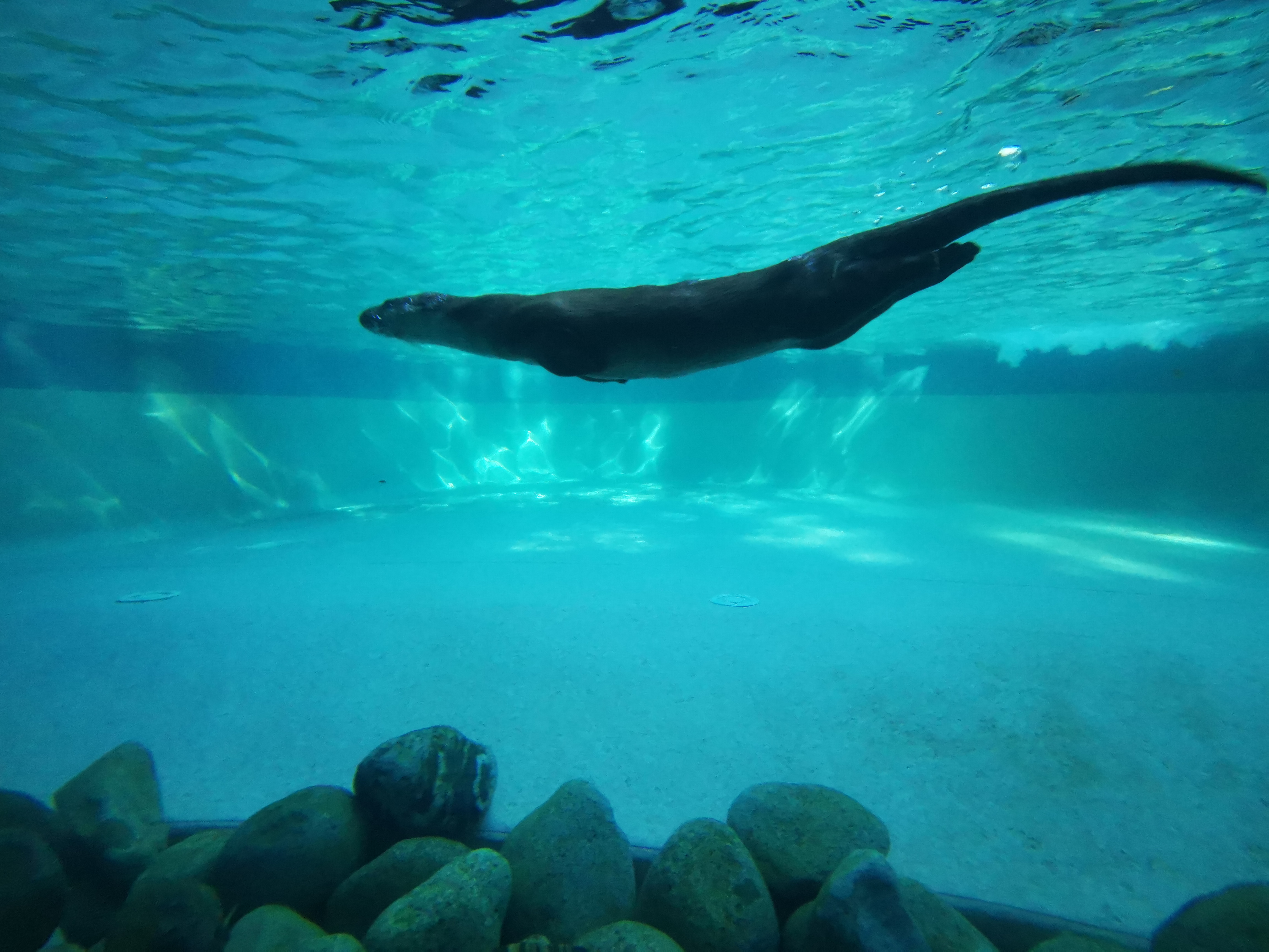 Photo n° 3 de l'avis de Aude.i fait le 29/08/2023 à 21:35