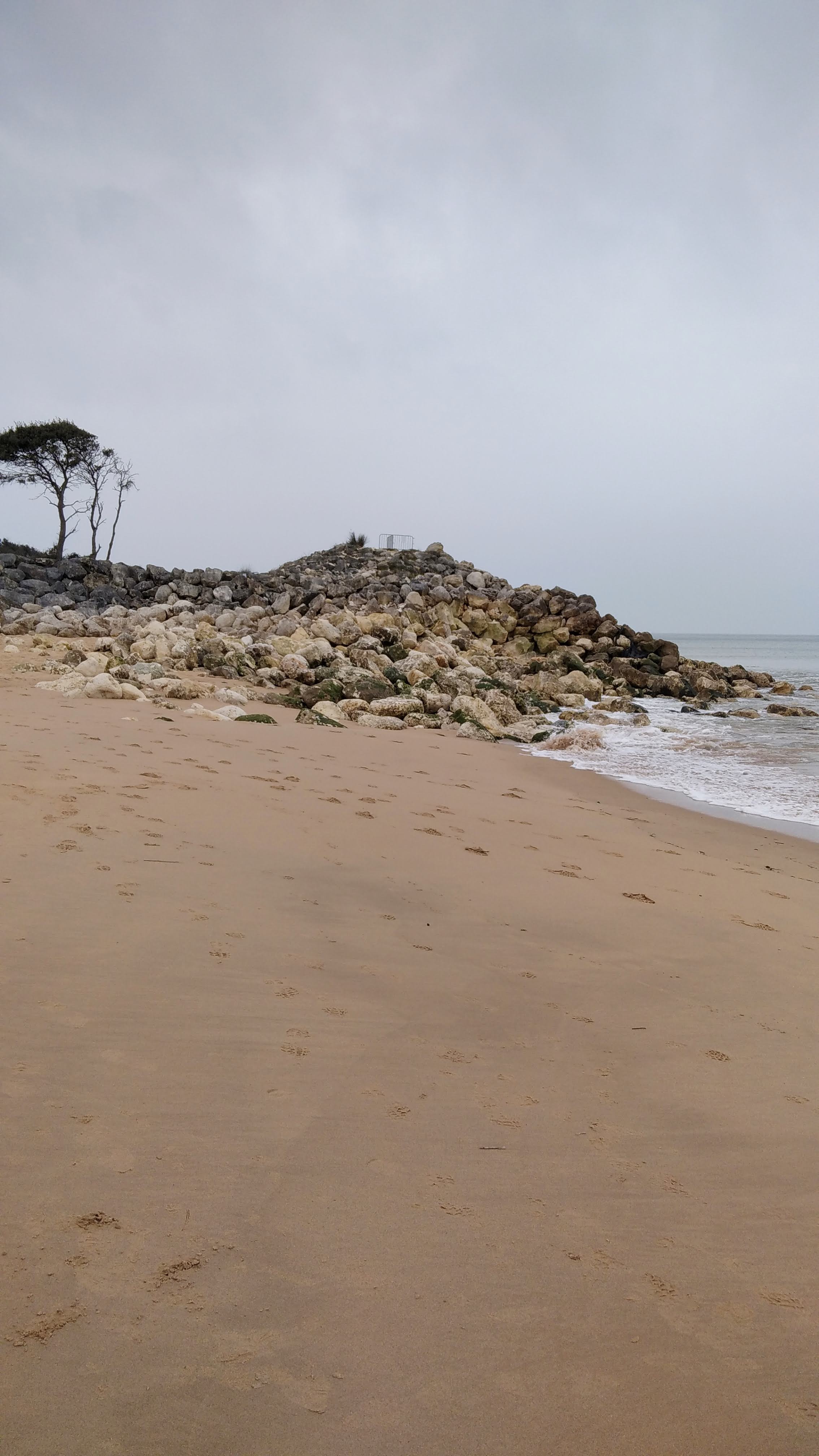 Photo n° 5 de l'avis de Patrick.o fait le 31/07/2019 à 20:03