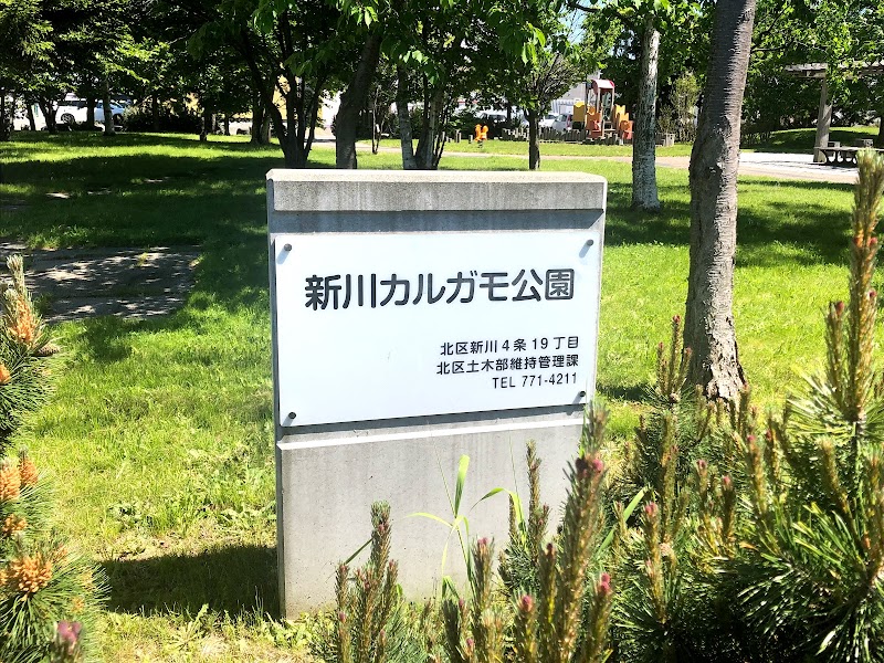 新川カルガモ公園