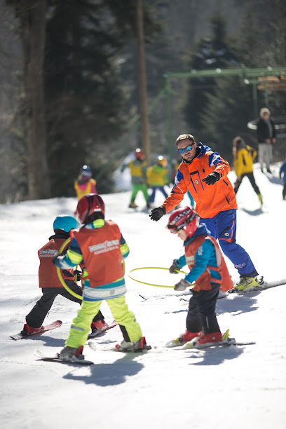 Škola skijanja