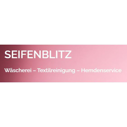 Rezensionen über Hemdenservice Seifenblitz im Gotthardhaus in Freiburg - Wäscherei