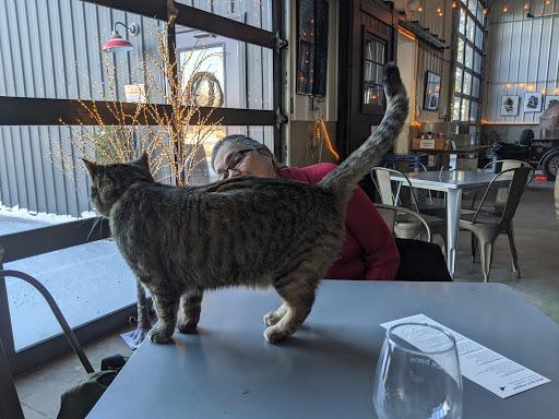 Vineyard «Black Birch Vineyard/ Black Birch Winery», reviews and photos, 108-109 Straits Rd, Hatfield, MA 01066, USA