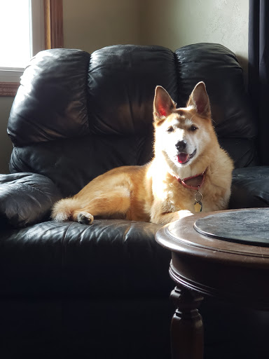 Barber Christine DVM image