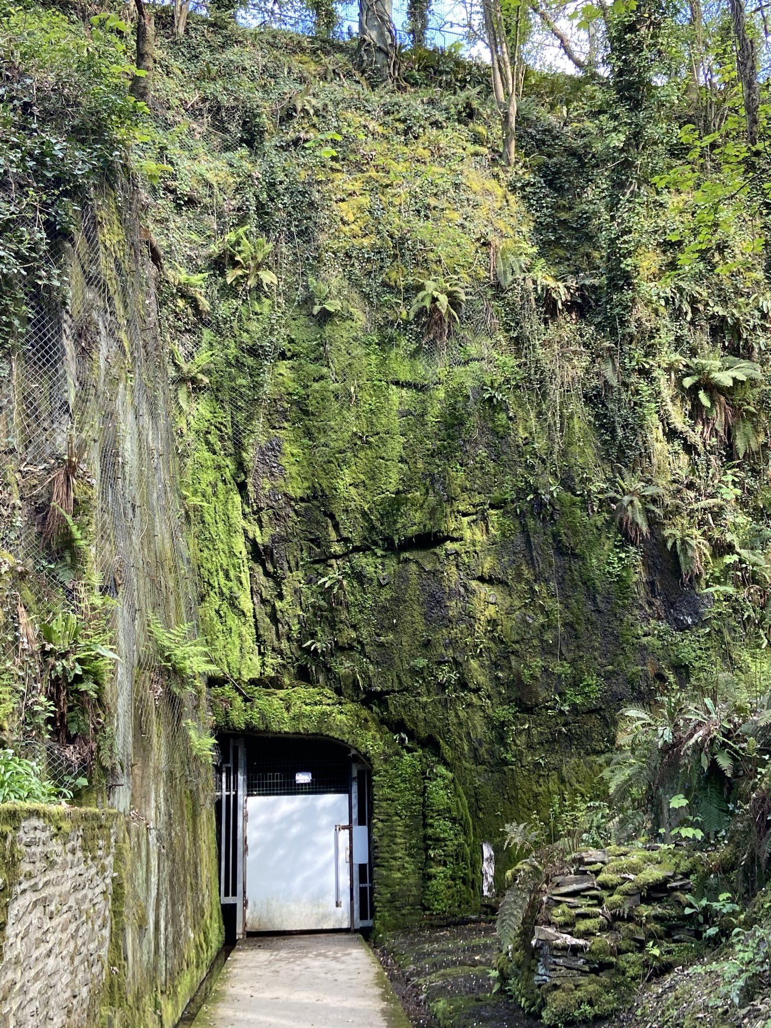 Photo n° 13 de l'avis de David.o fait le 19/04/2022 à 18:07