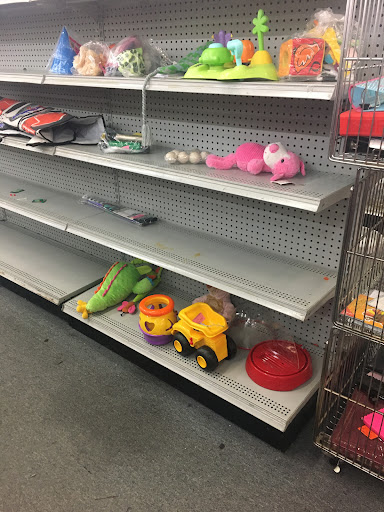 Thrift Store «Thrift City», reviews and photos, 1750 E Belt Line Rd #300, Richardson, TX 75081, USA