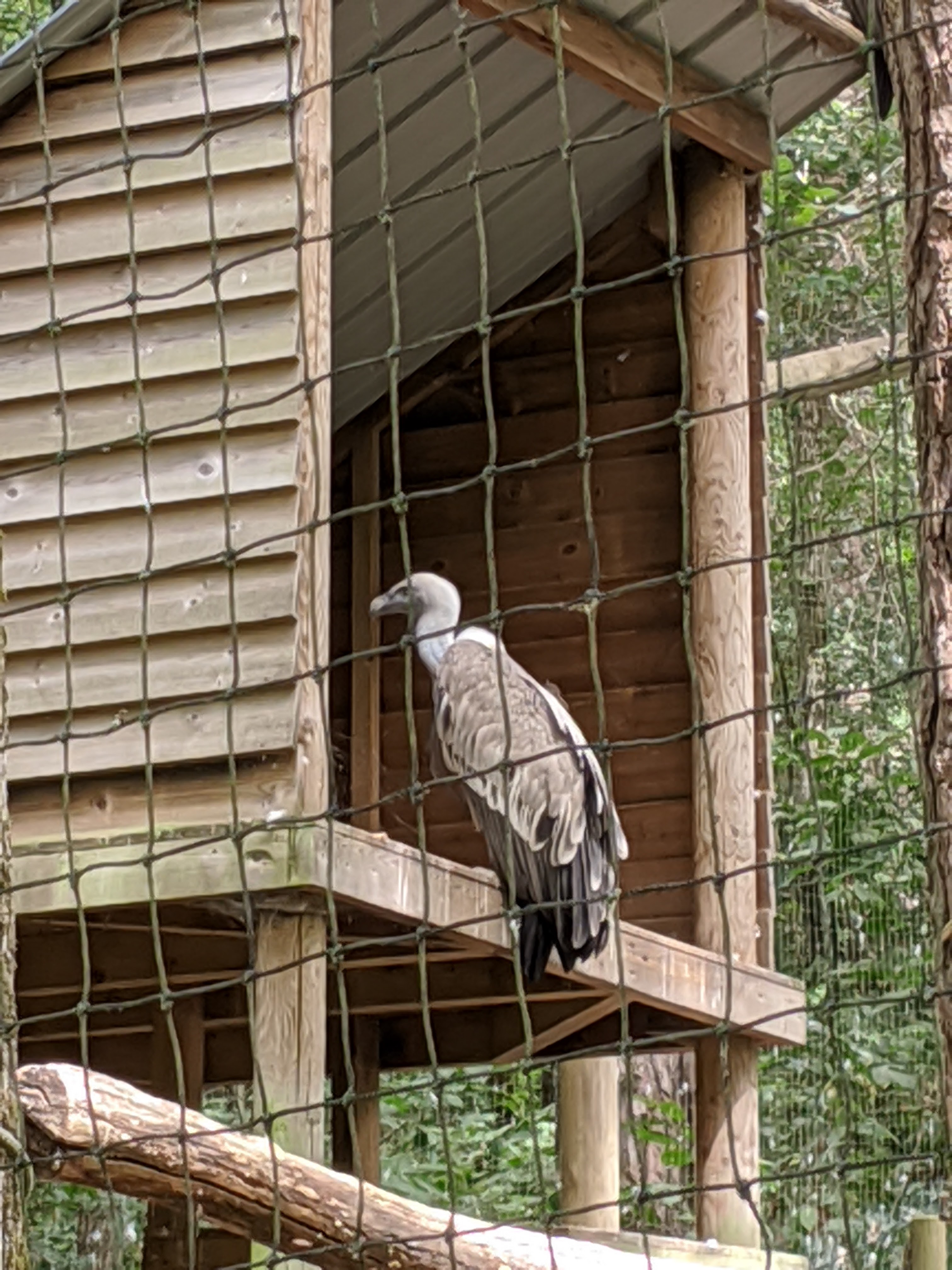 Photo n° 6 de l'avis de jph.e fait le 04/08/2020 à 17:20