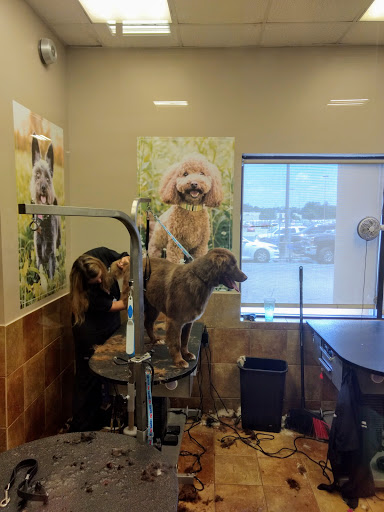 Pet Supply Store «PetSmart», reviews and photos, 2130 Gunbarrel Rd, Chattanooga, TN 37421, USA