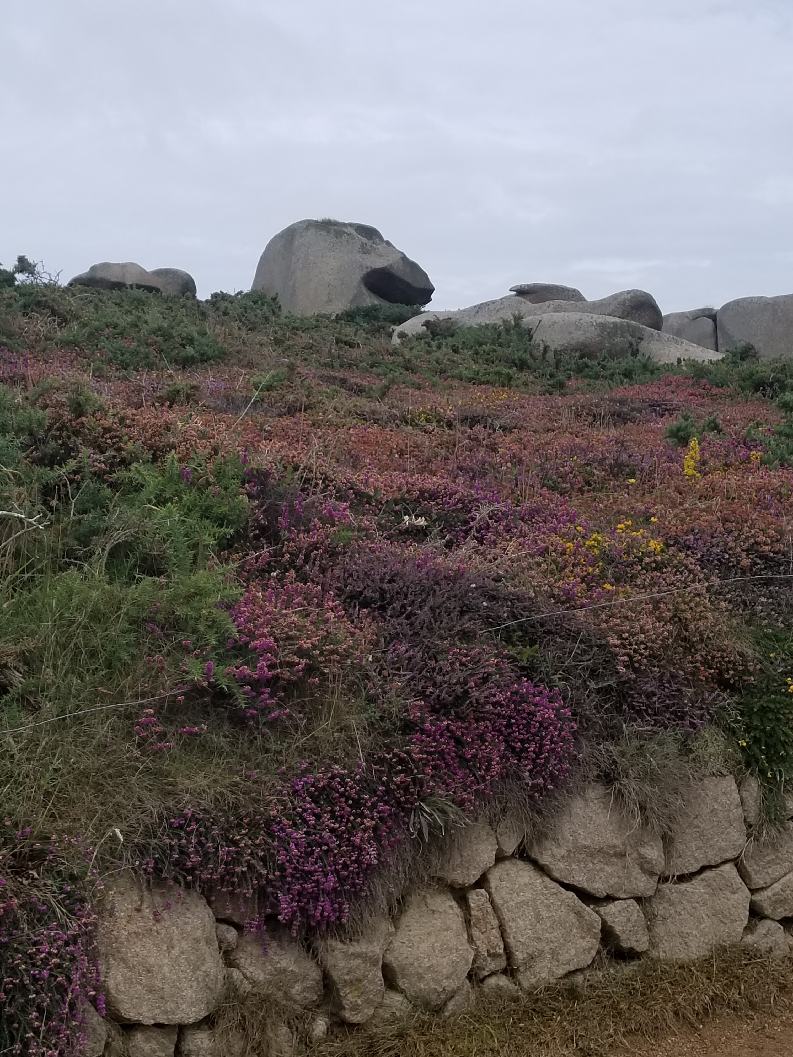 Photo n° 1 de l'avis de Mireille.a fait le 22/08/2023 à 12:13