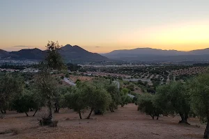 Olivares del Cortijo del Aire image