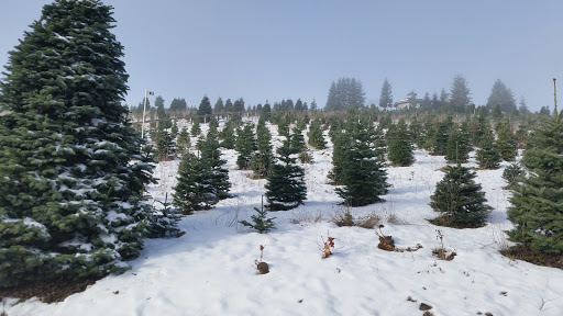 Gift Shop «Sleighbells Of Sherwood (Seasonal Business Open July1-December 23)», reviews and photos, 23855 SW 195th Pl, Sherwood, OR 97140, USA