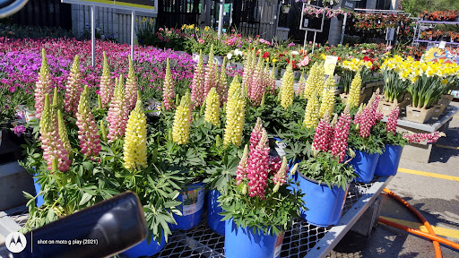 Home Improvement Store «The Home Depot», reviews and photos, 1749 Newman Rd, Okemos, MI 48864, USA