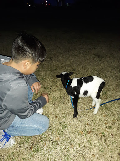 Park «Haltom Rd Park», reviews and photos, 3113 Haltom Rd, Haltom City, TX 76117, USA