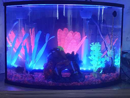 Tropical Fish Store «Ocean Aquarium», reviews and photos, 6820 E Black Horse Pike, Egg Harbor Township, NJ 08234, USA