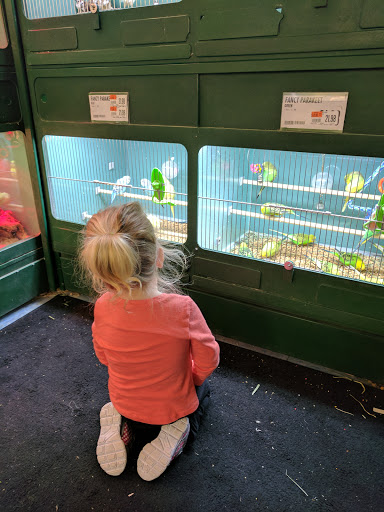 Pet Supply Store «Pet Supplies Plus», reviews and photos, 1377 N 21st St, Newark, OH 43055, USA