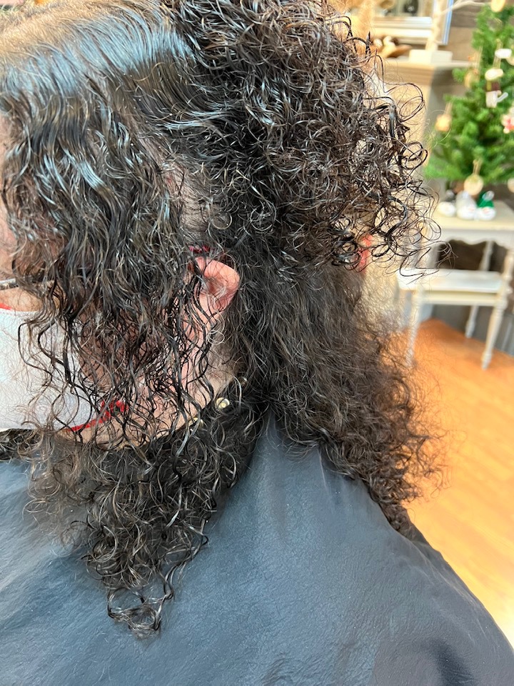 Jon-Claud Salon 01720