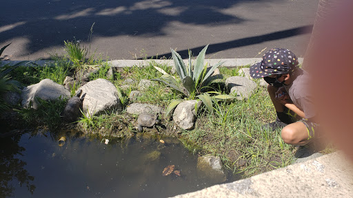 Car Wash «Fairway Garden Carwash», reviews and photos, 19834 E Walnut Dr N, Walnut, CA 91789, USA