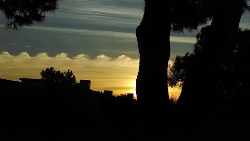 Golf Course «Coyote Run Golf Course», reviews and photos, 1548 Leisure World Blvd, Mesa, AZ 85206, USA