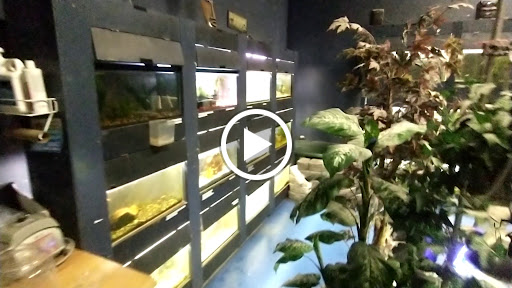 Pet Store «Critters & Co Pet Center», reviews and photos, 11042 WA-525, Clinton, WA 98236, USA