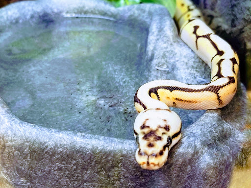 Pet Supply Store «Petco Animal Supplies», reviews and photos, 6137 Mid Rivers Mall Dr, St Charles, MO 63304, USA