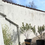 Photo n° 2 de l'avis de Johanna.u fait le 19/02/2024 à 21:30 pour Essentielle à Ribérac