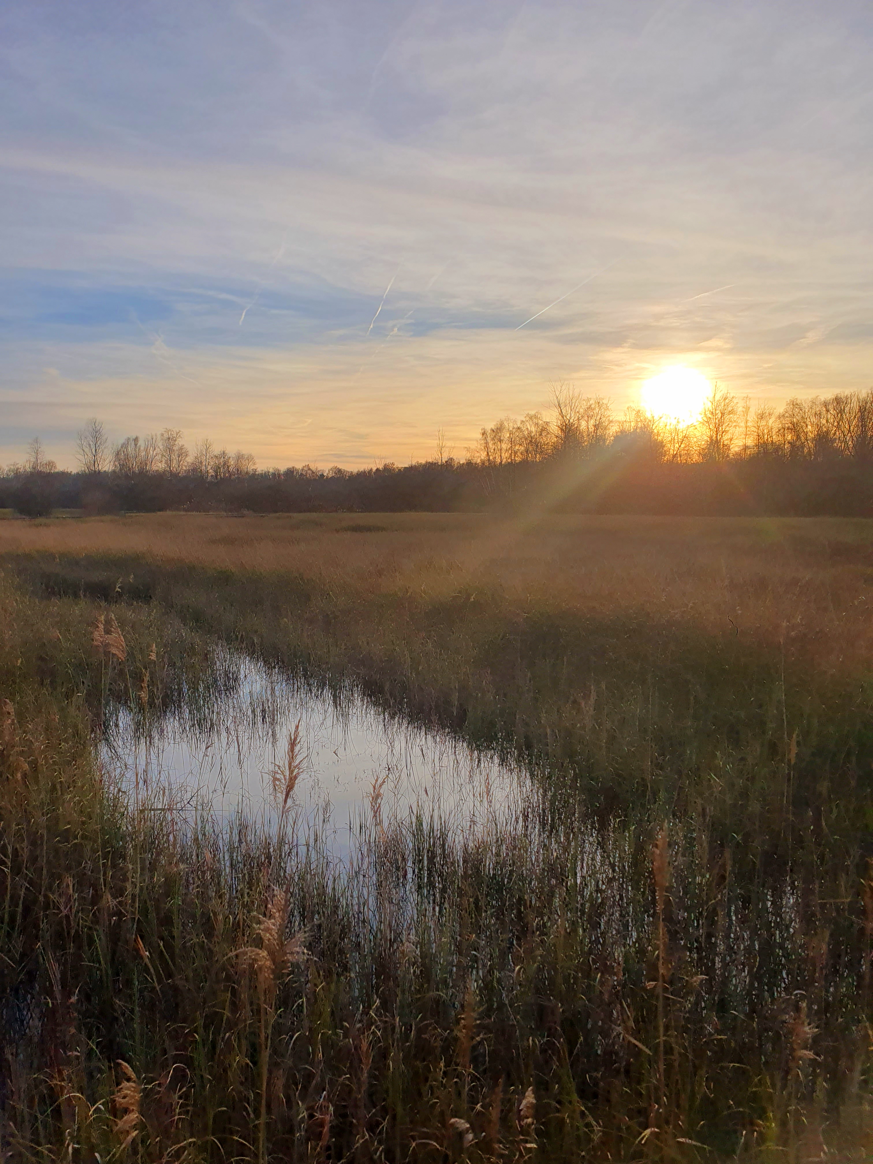 Photo n° 4 de l'avis de Albert.l fait le 27/01/2024 à 21:21
