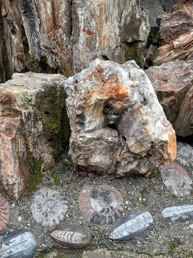 National Forest «Petrified Forest», reviews and photos