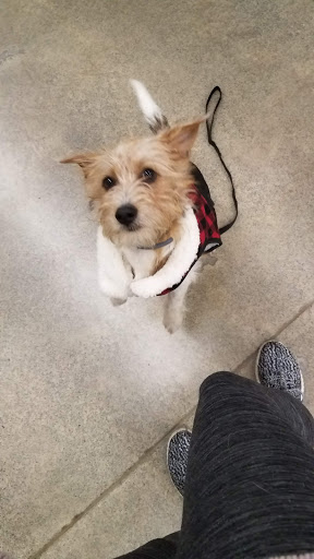 Pet Supply Store «Petco Animal Supplies», reviews and photos, 1419 Towne Square Blvd NW, Roanoke, VA 24019, USA