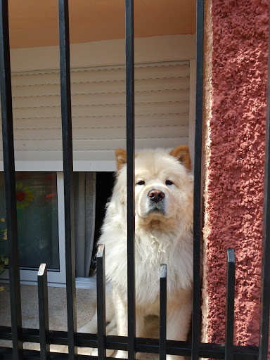 Diany'S SalóndeBeauty en Humanes, Guadalajara