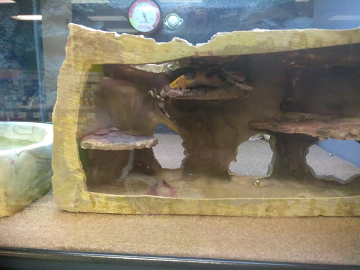 Pet Supply Store «Petco Animal Supplies», reviews and photos, 7215 170th Ave NE #115, Redmond, WA 98052, USA