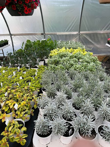 Florist «TG Designs», reviews and photos, 19231 Longmeadow Rd, Hagerstown, MD 21742, USA