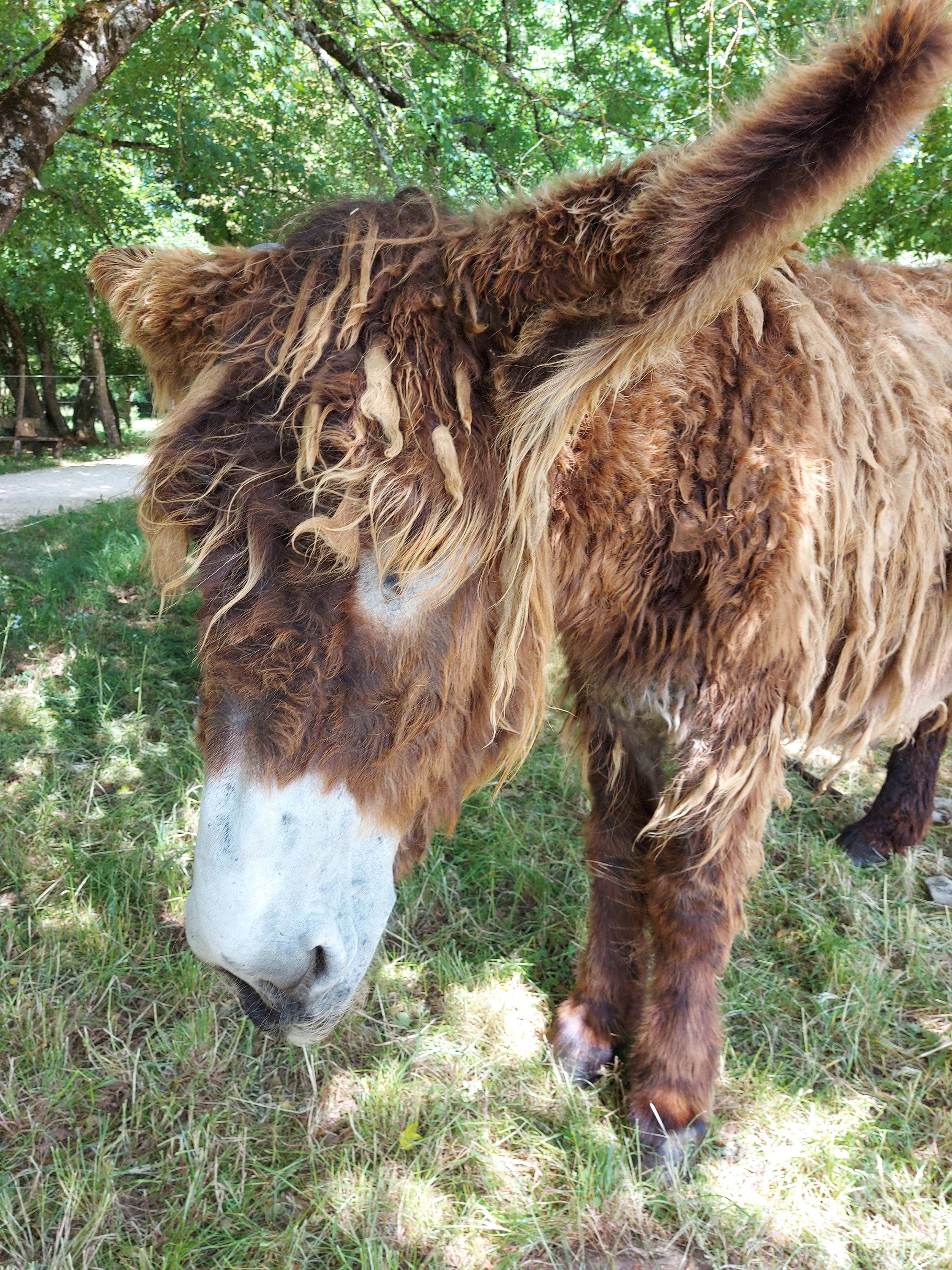 Photo n° 1 de l'avis de Leeloo.l fait le 13/05/2022 à 18:30