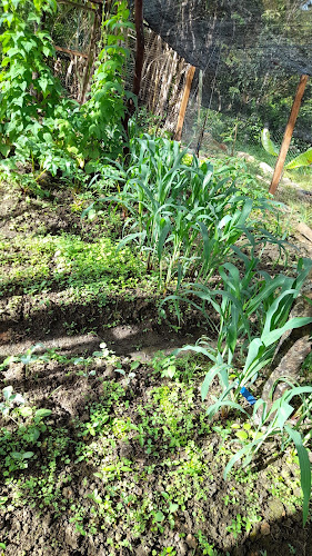 finca las flores