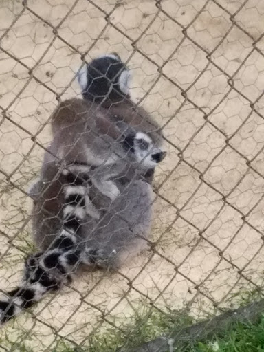 Fairground «Conservatory at the Sussex County Fairgrounds», reviews and photos, 37 Plains Rd, Augusta, NJ 07822, USA