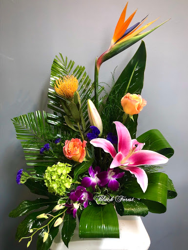 Florist «Black Forest Flowers and Gifts», reviews and photos, 3426 Tampa Rd, Palm Harbor, FL 34684, USA