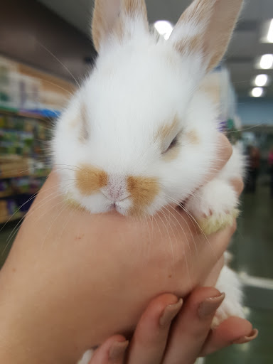 Pet Supply Store «Animal Kingdom Pet Store», reviews and photos, 1675 W Grand Ave, Grover Beach, CA 93433, USA