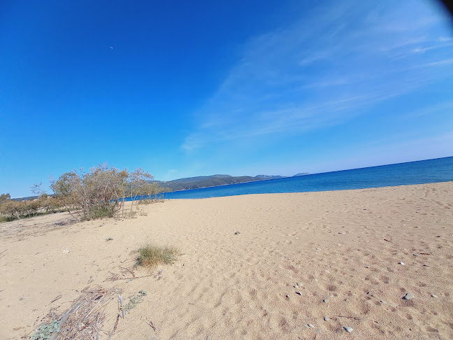 Φοινικούντα 240 06