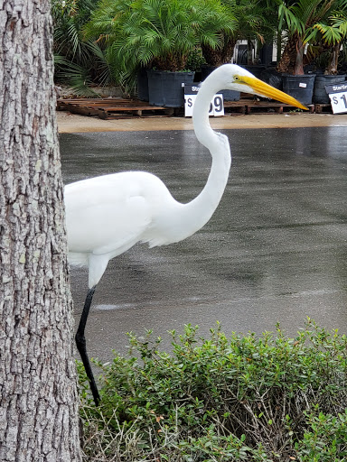 Home Improvement Store «The Home Depot», reviews and photos, 1551 Dunlawton Ave, Port Orange, FL 32127, USA