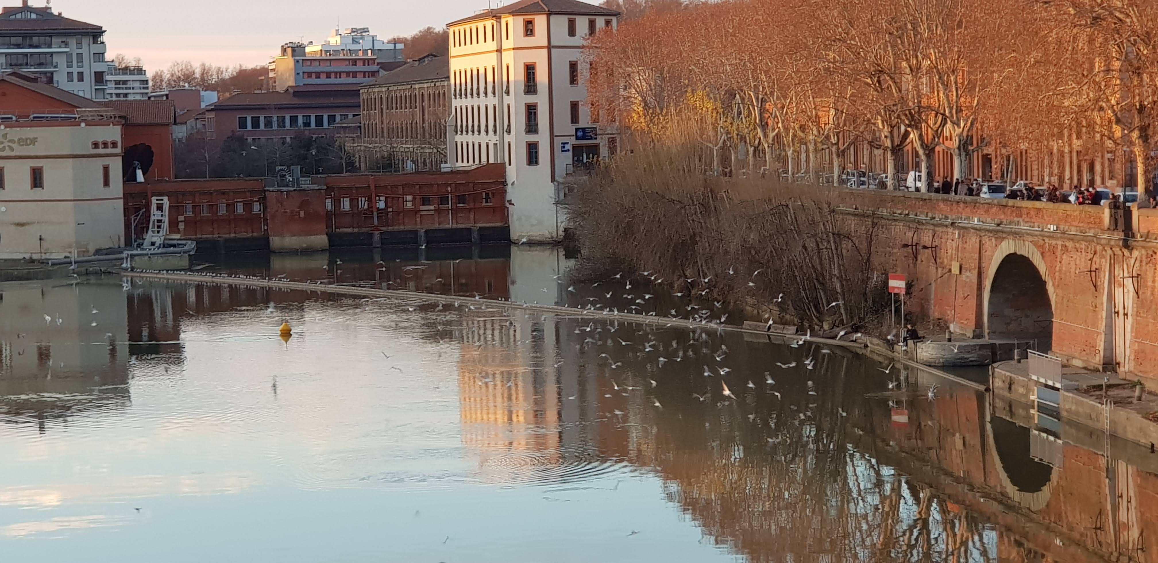 Photo n° 3 de l'avis de evelyne.O fait le 05/01/2018 à 19:37