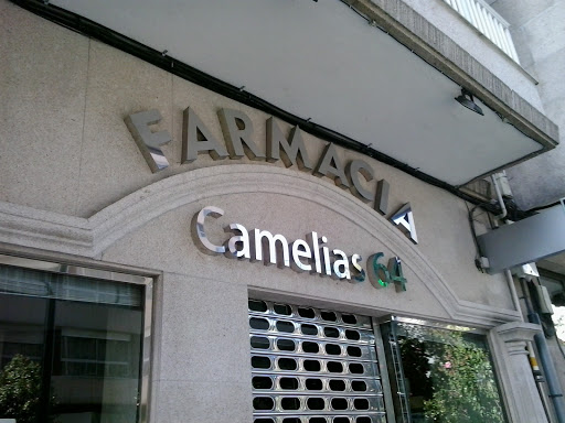 Camelias 64