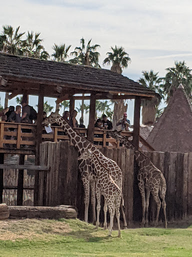 Zoo «Wildlife World Zoo, Aquarium & Safari Park», reviews and photos, 16501 W Northern Ave, Litchfield Park, AZ 85340, USA