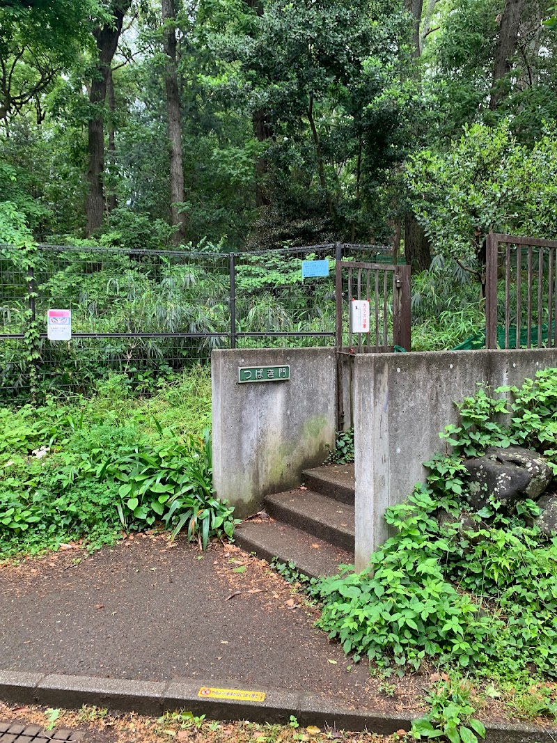 林試の森公園 つばき門