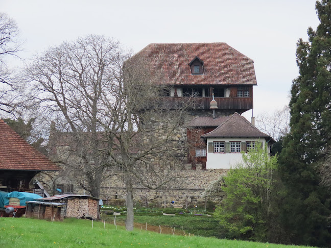 Schloss Mammertshofen - Arbon