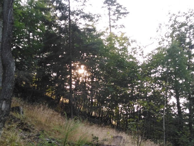 Komentarze i opinie o Chatka Turystyczna po Kolejce Linowej na Raduni