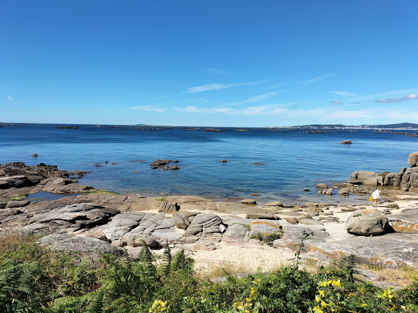 Photo de Playa Barbafeita situé dans une zone naturelle