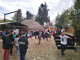 Asociación Indígena Mapuche Taiñ Adkimn