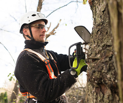 Forestwood Tree Service