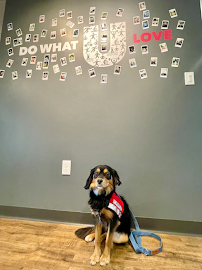 HealthSource Chiropractic of Fairlawn - Photo 8 - Car repair in Fairlawn, OH, Akron