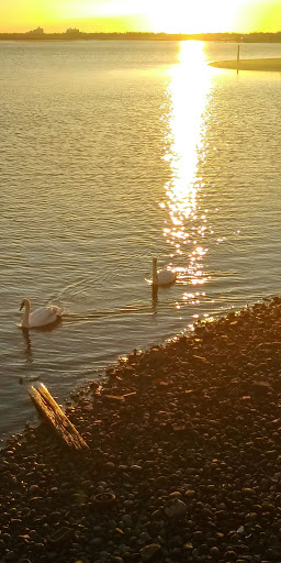 Park «Hewlett Point Park», reviews and photos, 130 Hewlett Point Ave, East Rockaway, NY 11518, USA