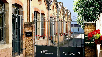 Curieux à Strasbourg